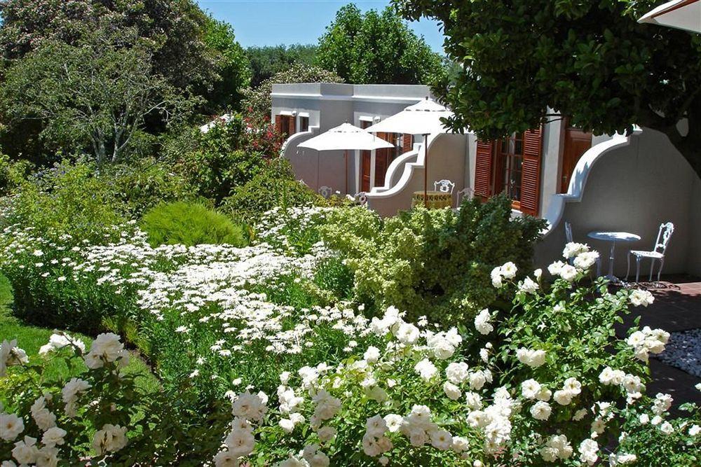 Glen Avon Lodge Boutique Hotel Кейптаун Екстериор снимка