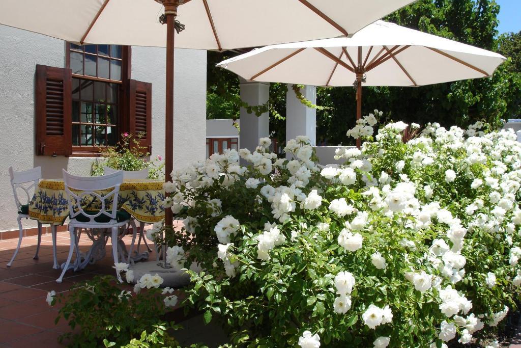 Glen Avon Lodge Boutique Hotel Кейптаун Екстериор снимка